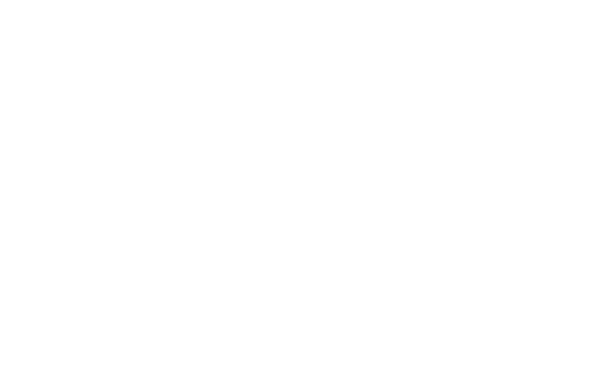 Heyner